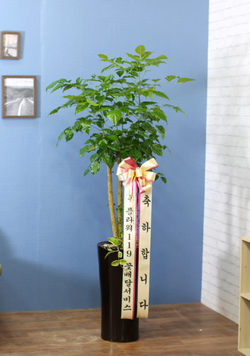 ½Ç³»½Ä¹°Àº »ç¶÷¿¡°Ô ÁÁ¾Æ¿ä - dz¼ºÇÑ »ê¼Ò¸¦ ÁÖ´Â ³ìº¸¼ö(ȱⰡ º¯°æµÉ ¼ö ÀÖ½À´Ï´Ù.)