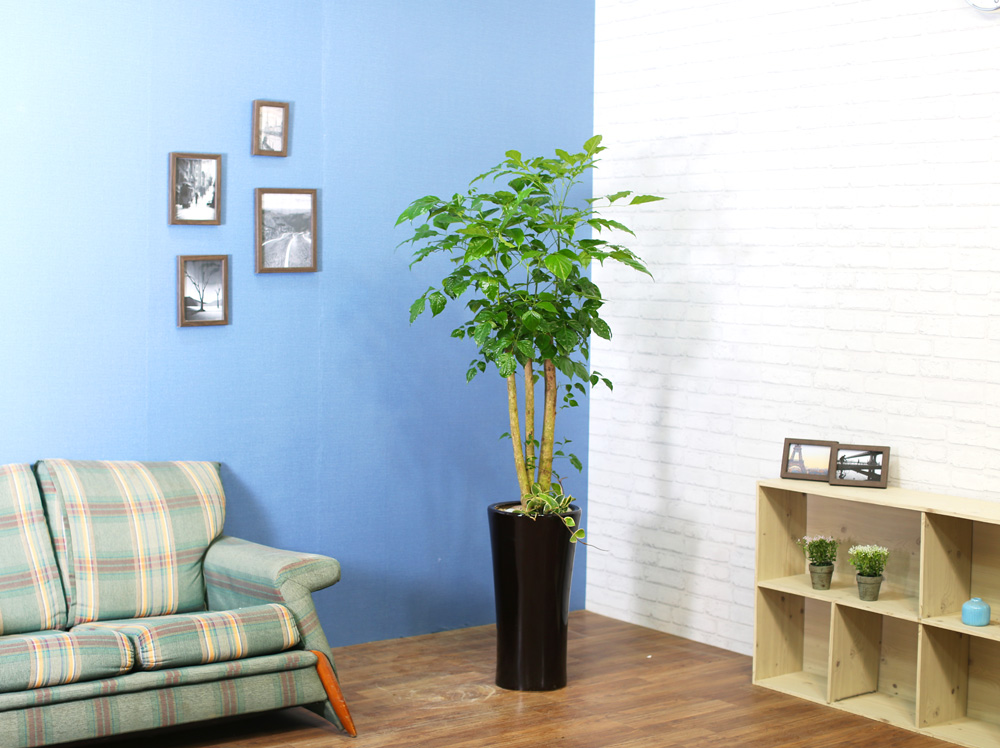 ½Ç³»½Ä¹°Àº »ç¶÷¿¡°Ô ÁÁ¾Æ¿ä - dz¼ºÇÑ »ê¼Ò¸¦ ÁÖ´Â ³ìº¸¼ö(ȱⰡ º¯°æµÉ ¼ö ÀÖ½À´Ï´Ù.)