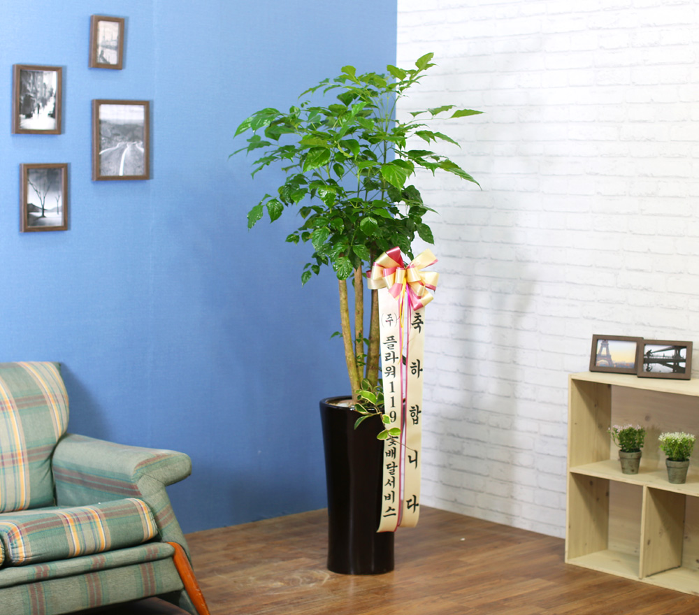 ½Ç³»½Ä¹°Àº »ç¶÷¿¡°Ô ÁÁ¾Æ¿ä - dz¼ºÇÑ »ê¼Ò¸¦ ÁÖ´Â ³ìº¸¼ö(ȱⰡ º¯°æµÉ ¼ö ÀÖ½À´Ï´Ù.)