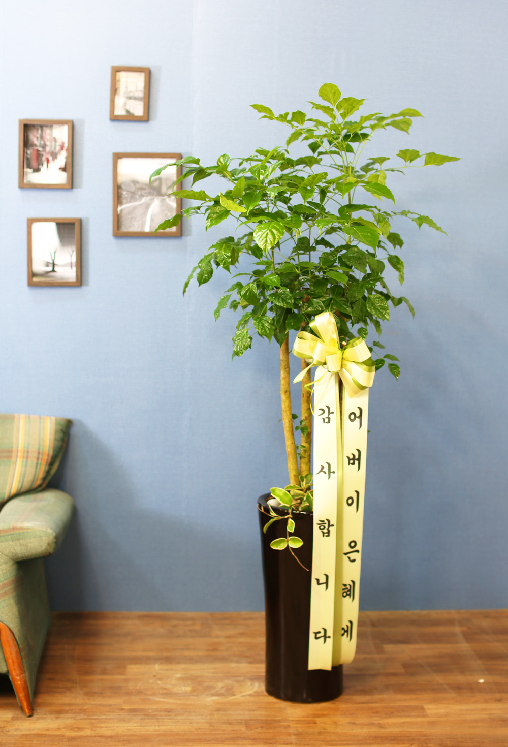 ½Ç³»½Ä¹°Àº »ç¶÷¿¡°Ô ÁÁ¾Æ¿ä - dz¼ºÇÑ »ê¼Ò¸¦ ÁÖ´Â ³ìº¸¼ö(ȱⰡ º¯°æµÉ ¼ö ÀÖ½À´Ï´Ù.)