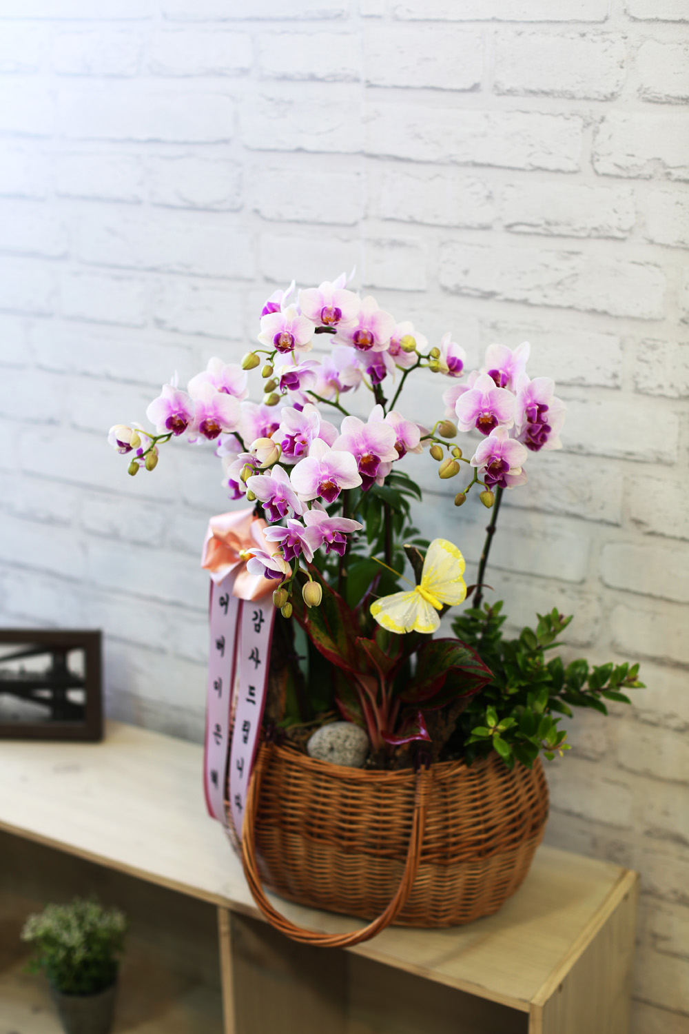  ٽ -  ũ Ƹٿ   Ʋ  ɹ