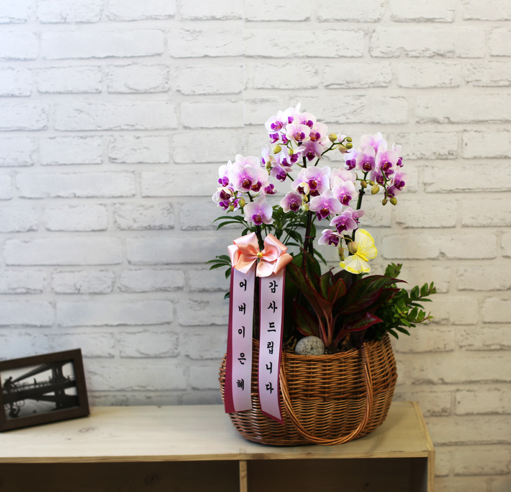  ٽ -  ũ Ƹٿ   Ʋ  ɹ