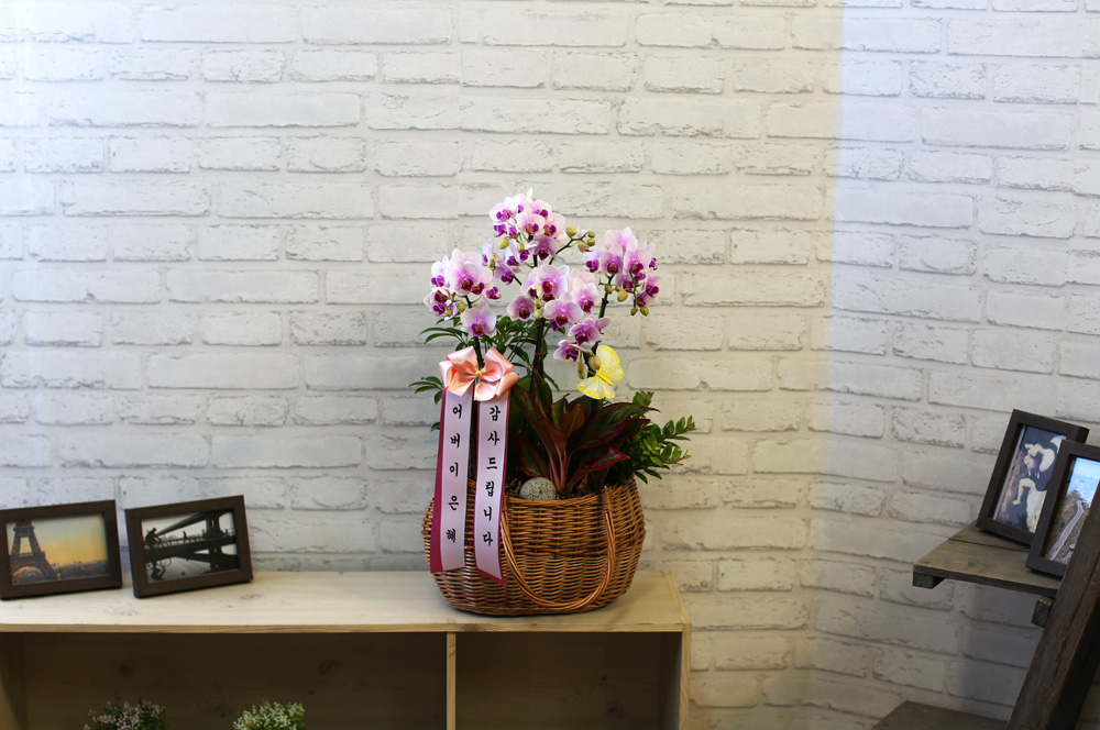  ٽ -  ũ Ƹٿ   Ʋ  ɹ