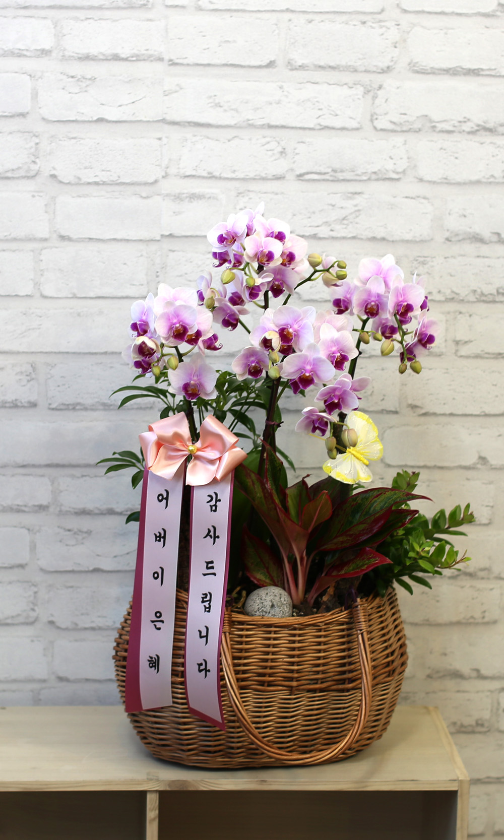  ٽ -  ũ Ƹٿ   Ʋ  ɹ