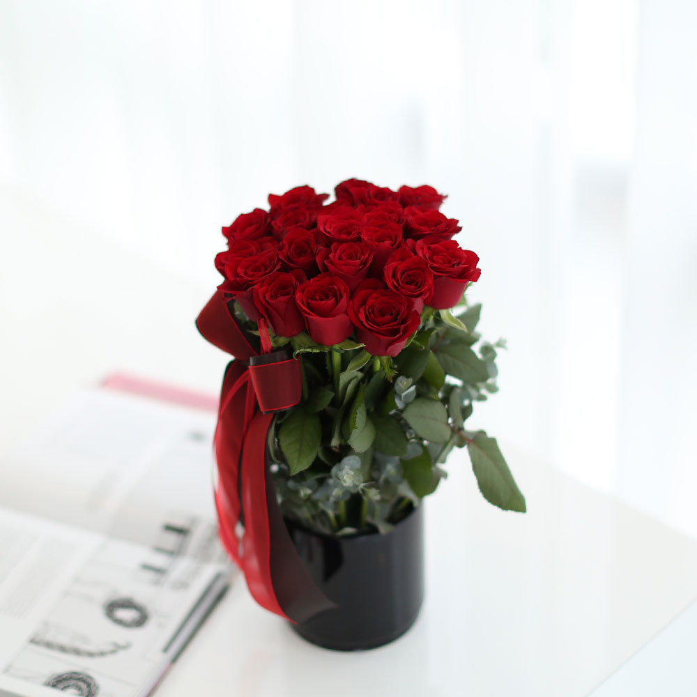 ·ÎÁîµ¥ÀÌ - vivid rose day