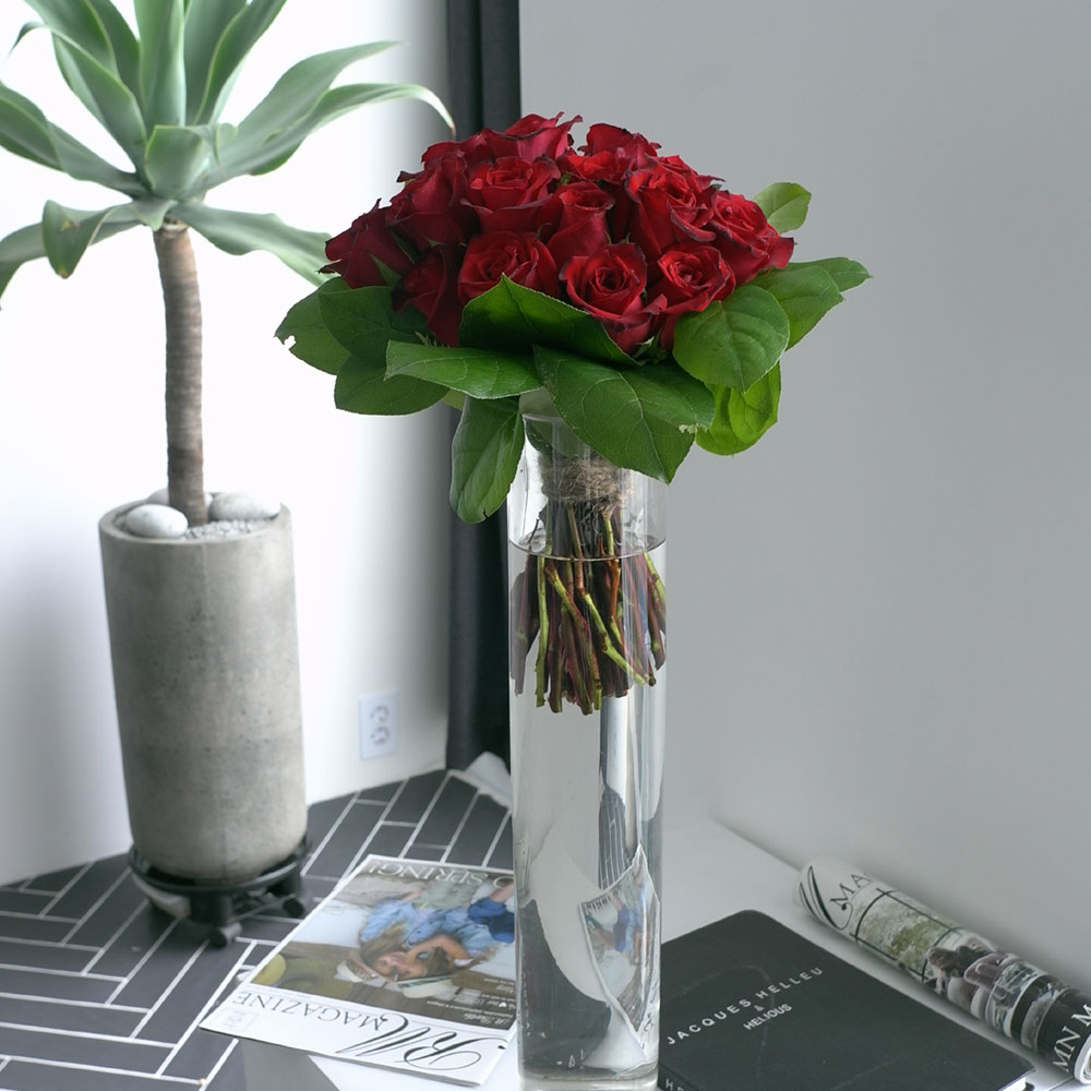 [/ Ϻ] -Sleepless in Seattle(ȭ ǰ  )  ɹ