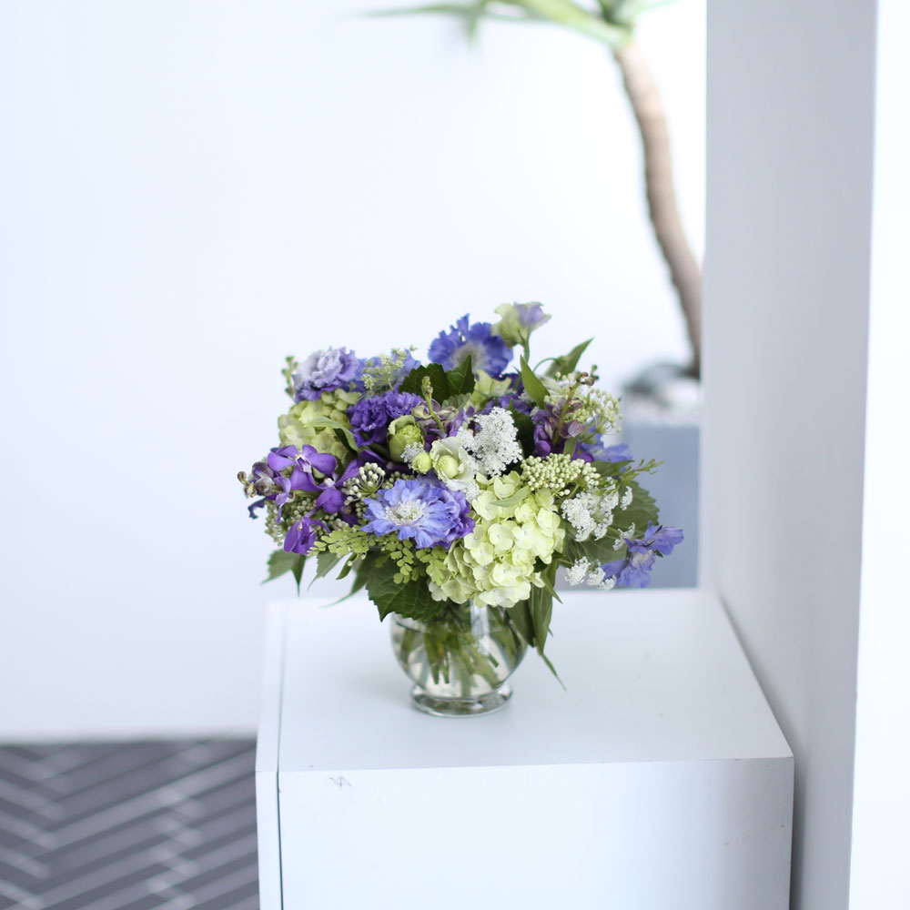 Stunning Flower Ideas - Elegance puple kitty