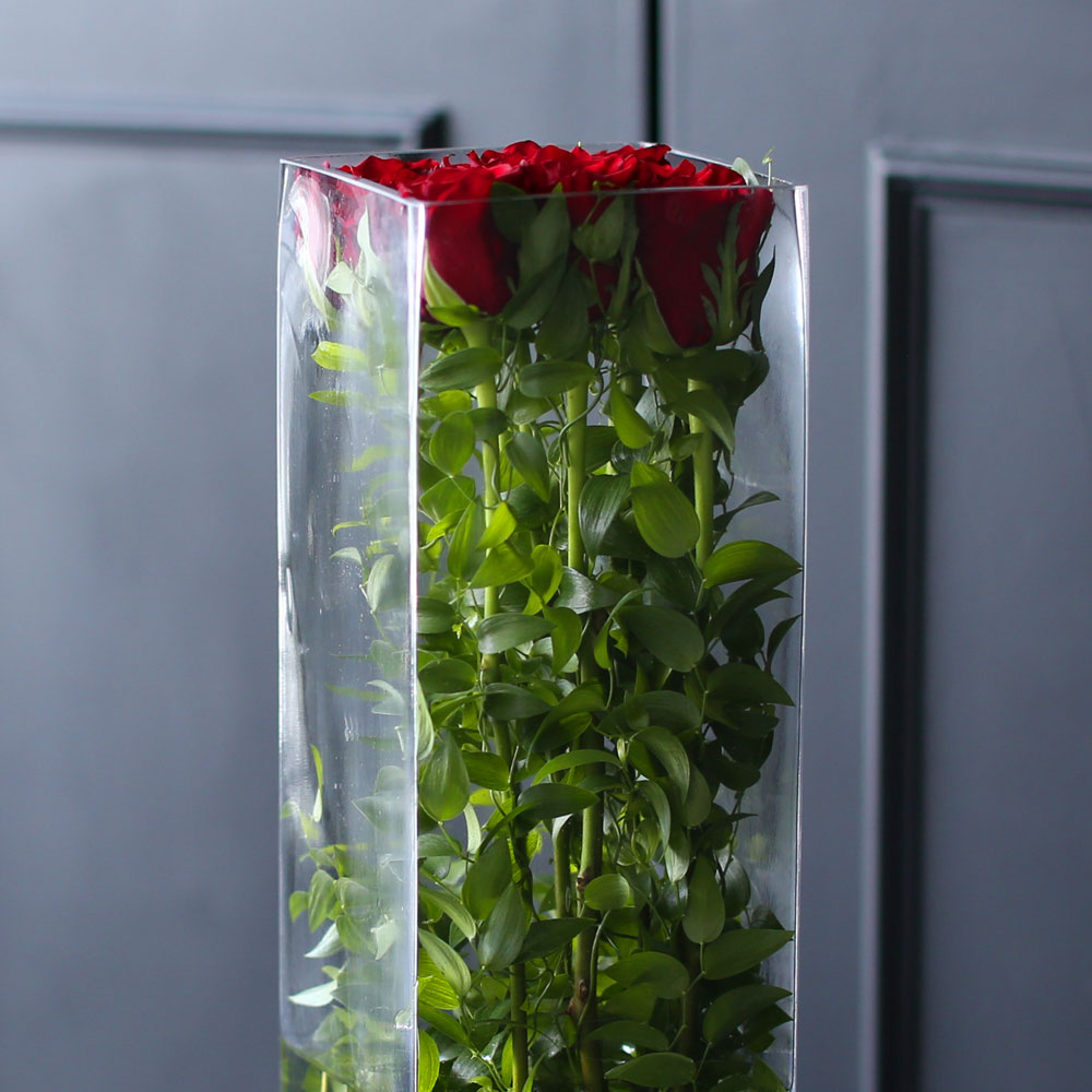 [/ Ϻ]Stunning Flower Ideas - Elegance Red mountain  ɹ