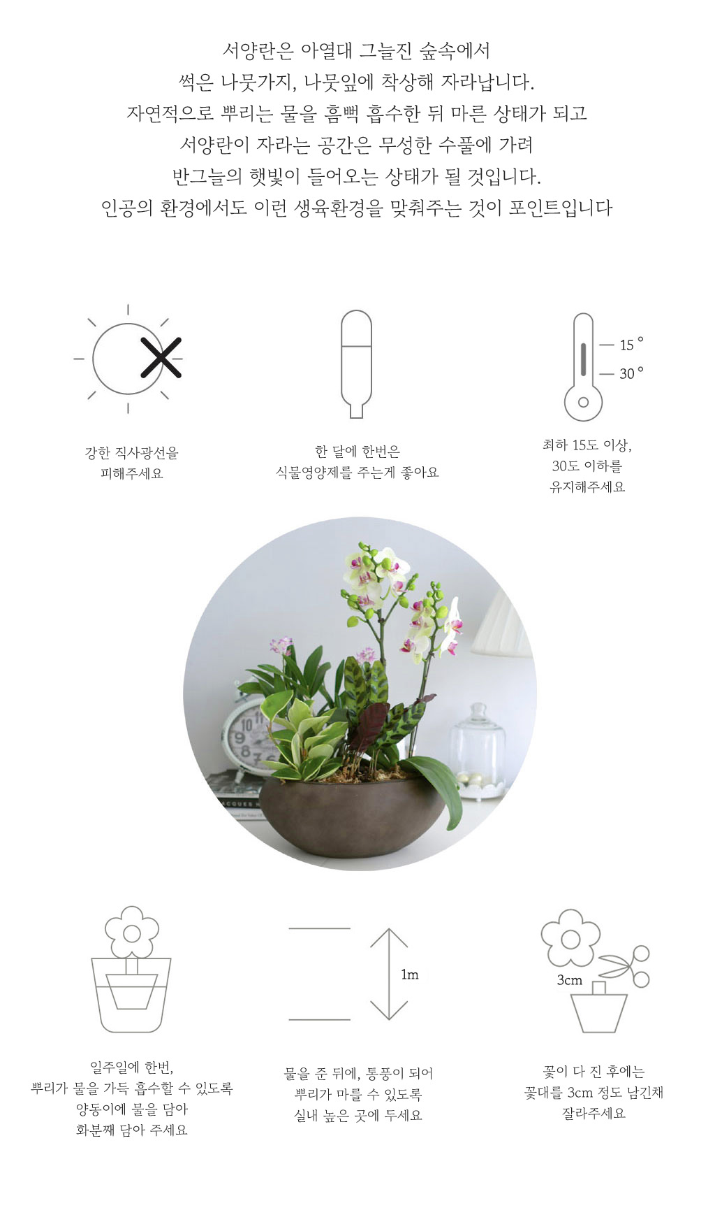 [Graceful orchid flowers] ݳ ()  ɹ