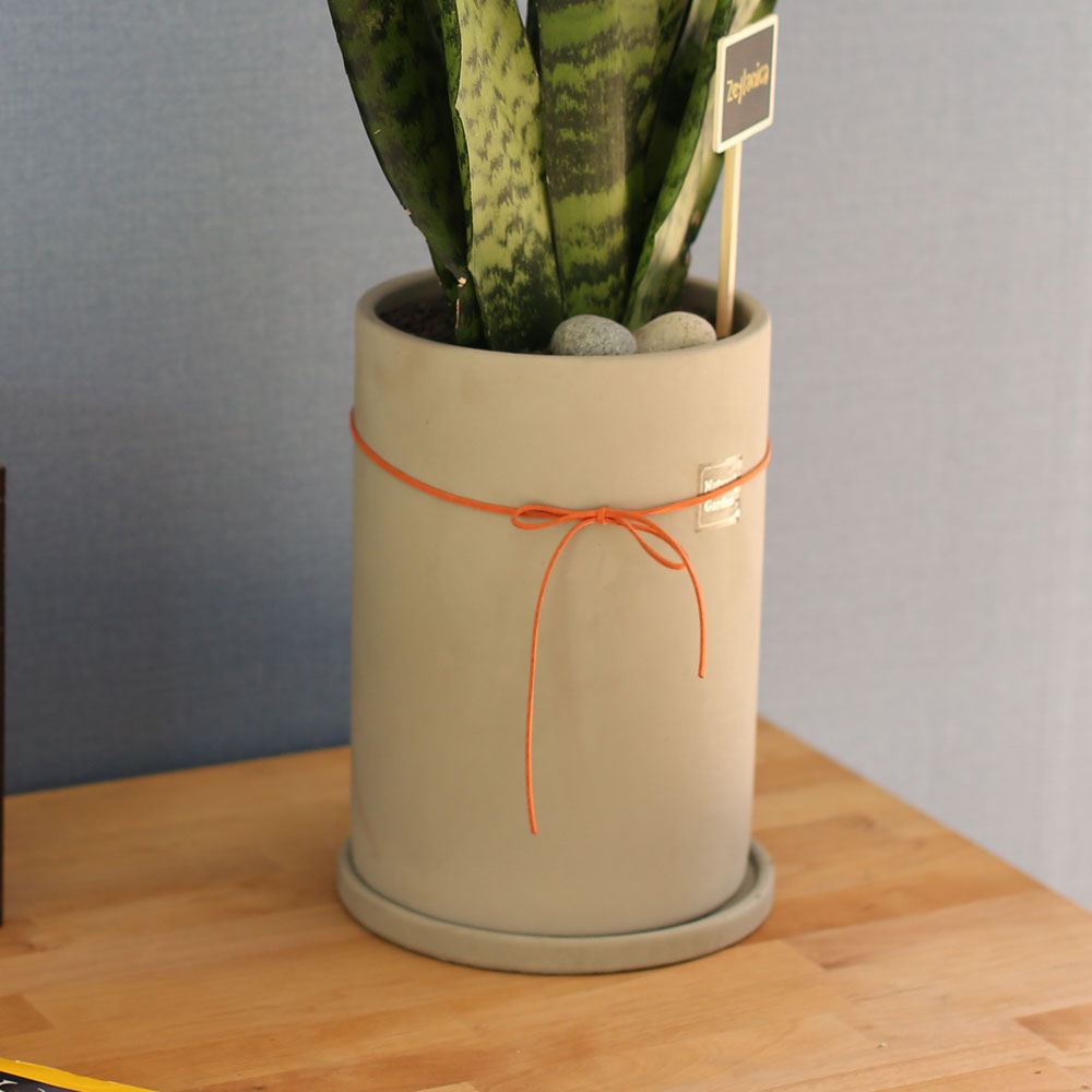 special ������ȭ �Ĺ� - Ǫ�� ������ ���� ���δ�ī