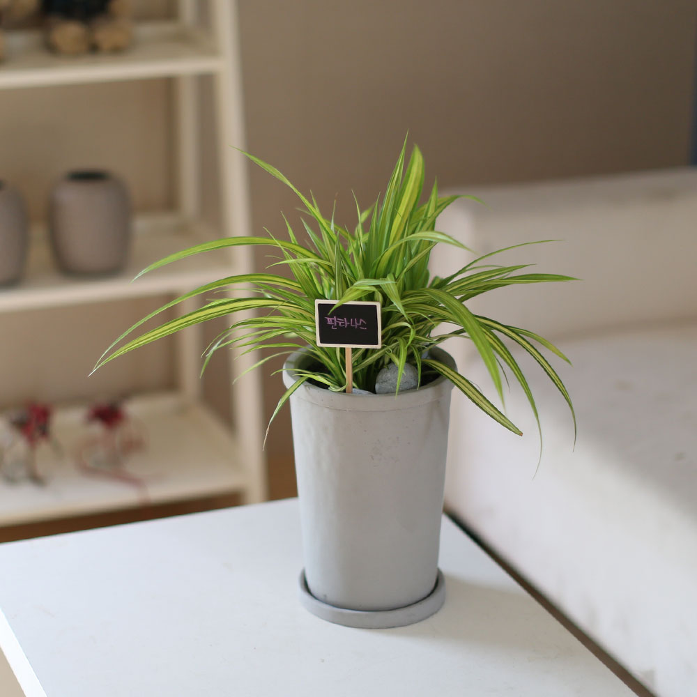 special ȭ Ĺ - ʷ  Ÿ  ɹ