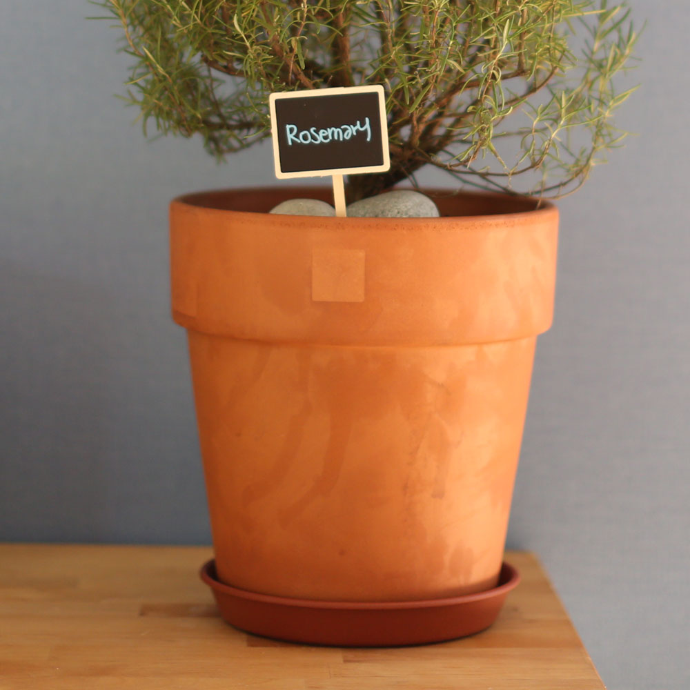 special ȭ Ĺ -      ɹ