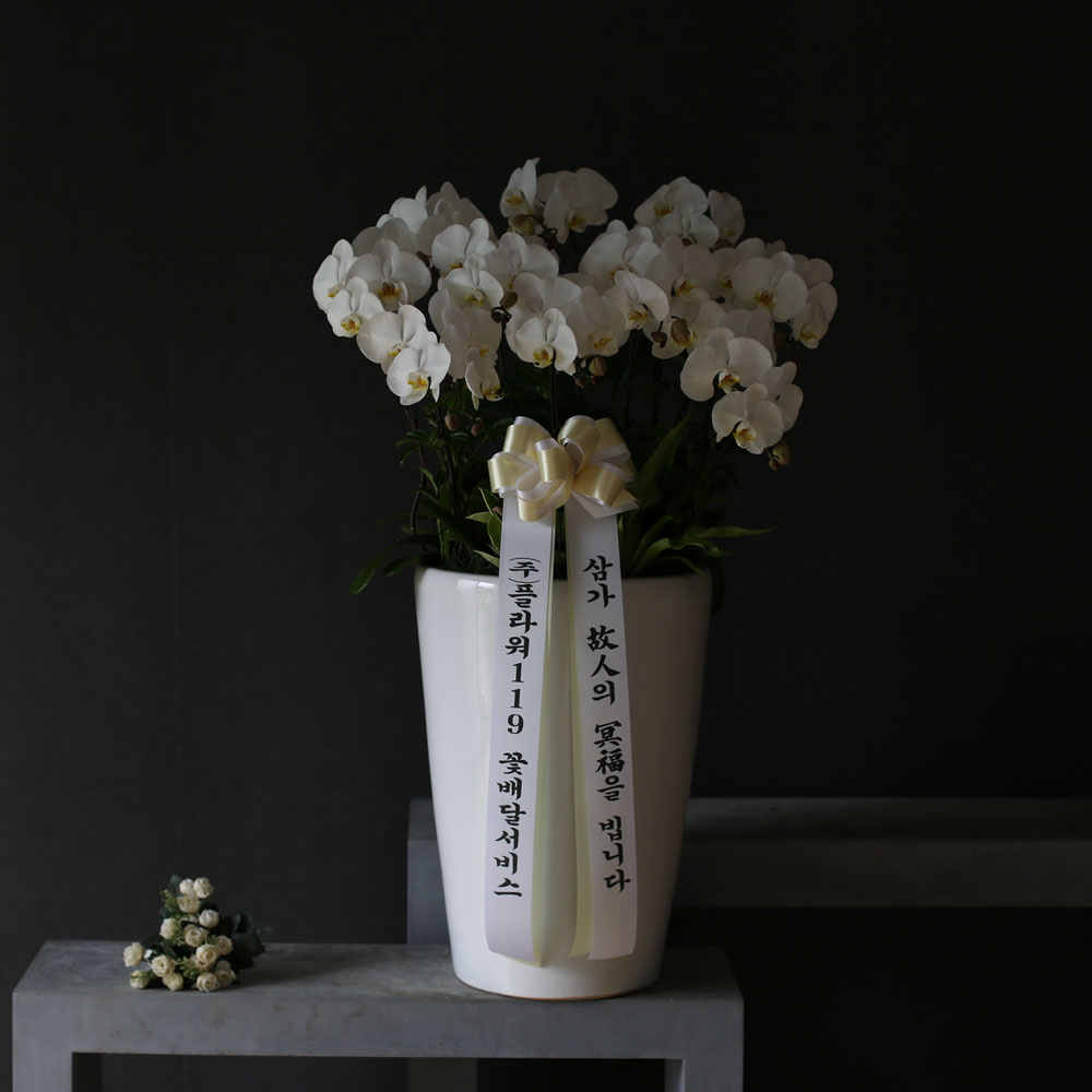 Á¶¹®¿ë ¹é»öÈ£Á¢(2016.NO 1)