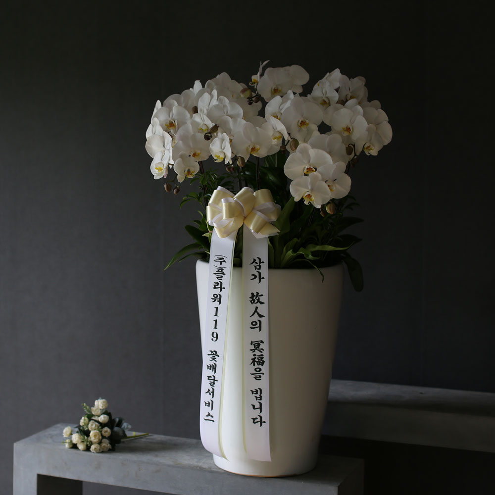 Á¶¹®¿ë ¹é»öÈ£Á¢(2016.NO 1)