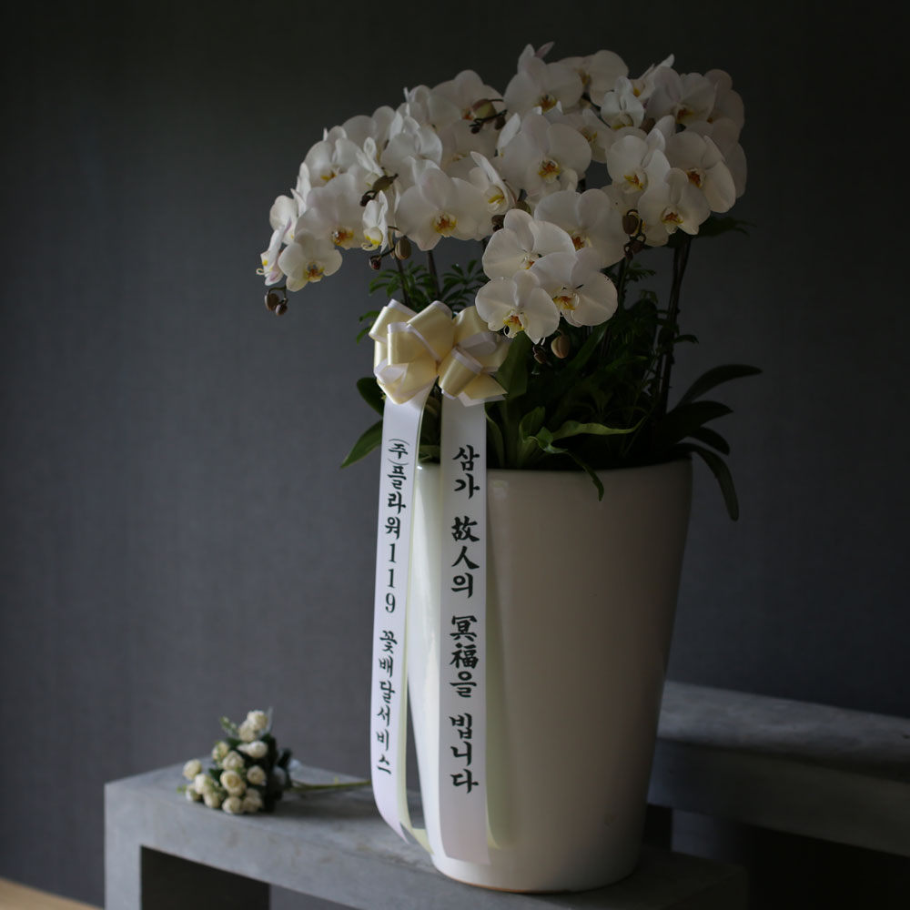 Á¶¹®¿ë ¹é»öÈ£Á¢(2016.NO 1)