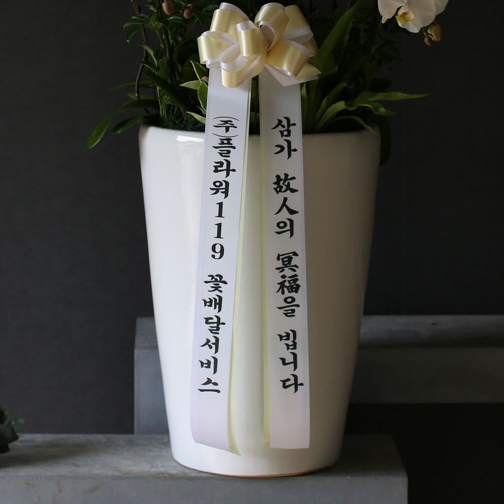 Á¶¹®¿ë ¹é»öÈ£Á¢(2016.NO 1)