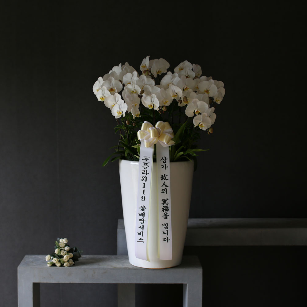 Á¶¹®¿ë ¹é»öÈ£Á¢(2016.NO 1)