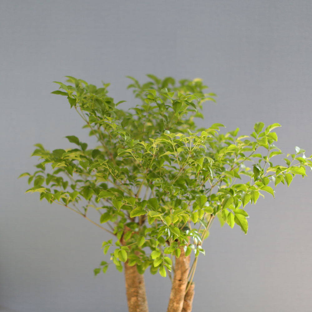 ��â�ϼ��� �����Ŀ� ���� ȭ�� - Ǫ���� ����Ʈ�� ���� �ɹ��