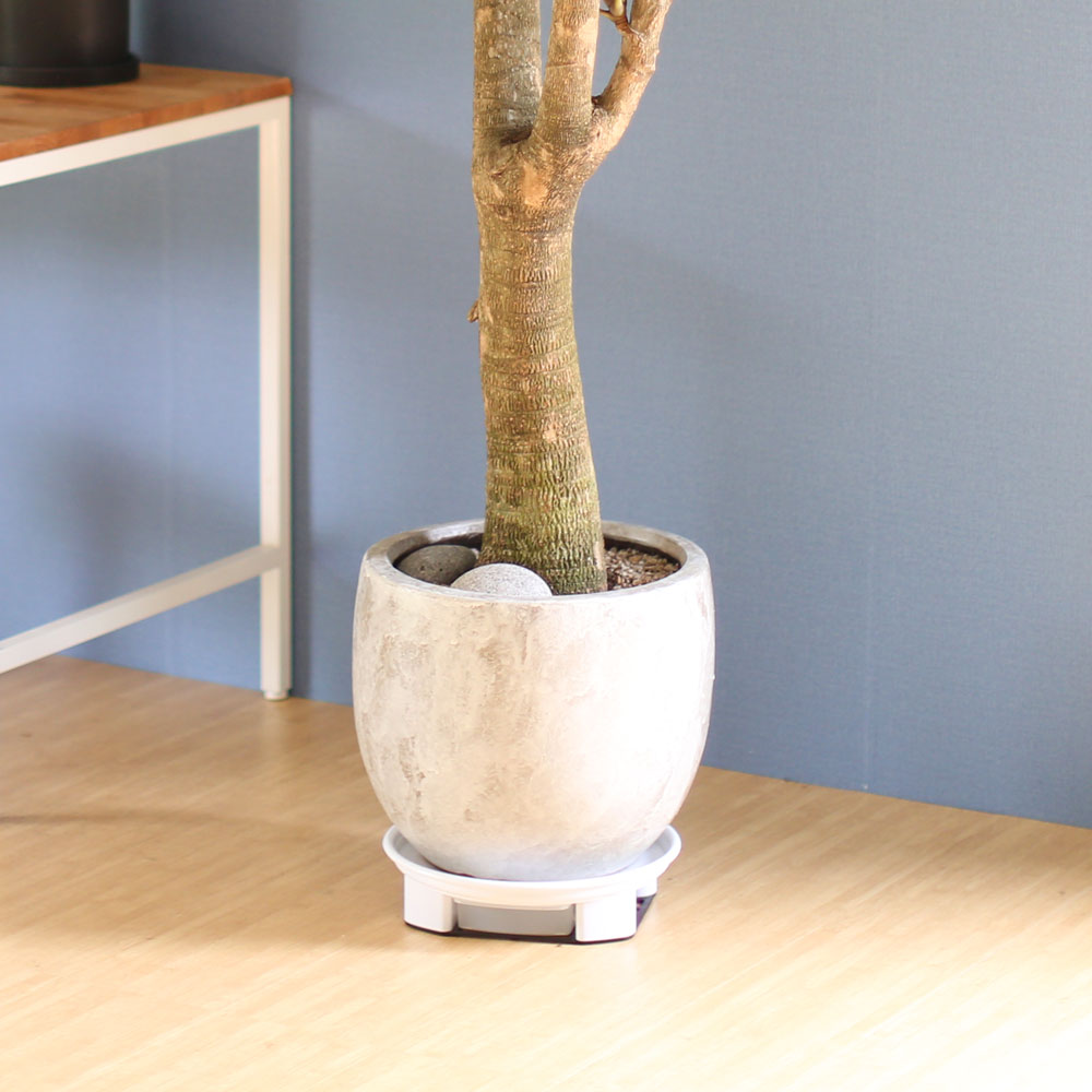 ��â�ϼ��� �����Ŀ� ���� ȭ�� - Ǫ���� ����Ʈ�� ���� �ɹ��