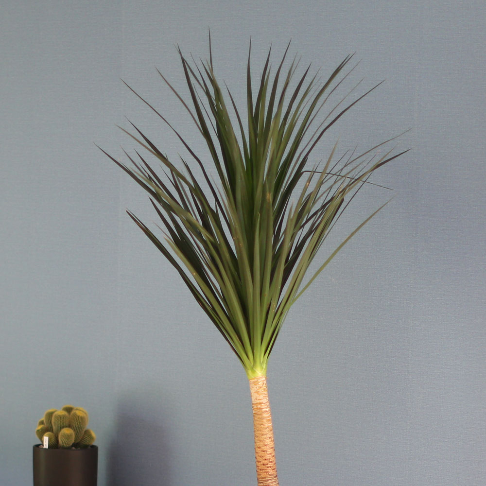 âϼ Ŀ  ȭ -     ɹ