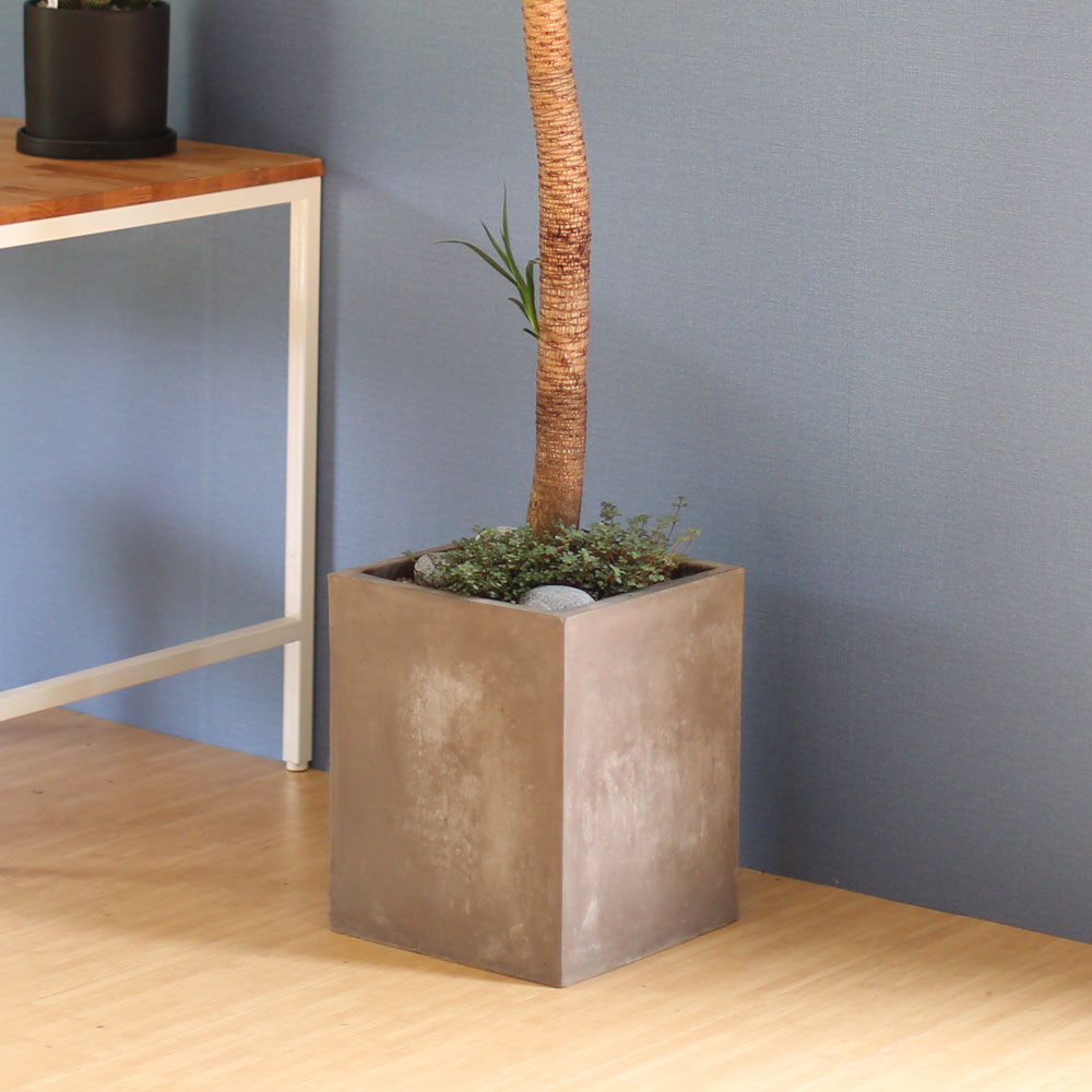 âϼ Ŀ  ȭ -     ɹ