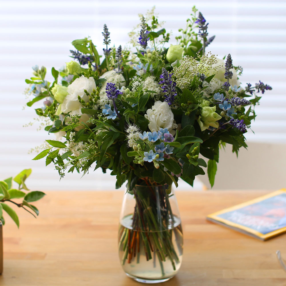 Ways to Freshen Your Home - white and white and blue