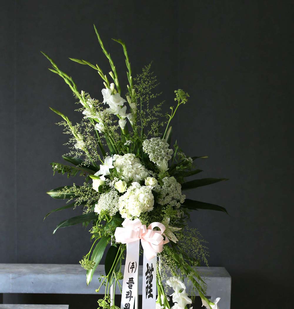 Ư  ȭȯ - ö119  ȭȯ_NO 5