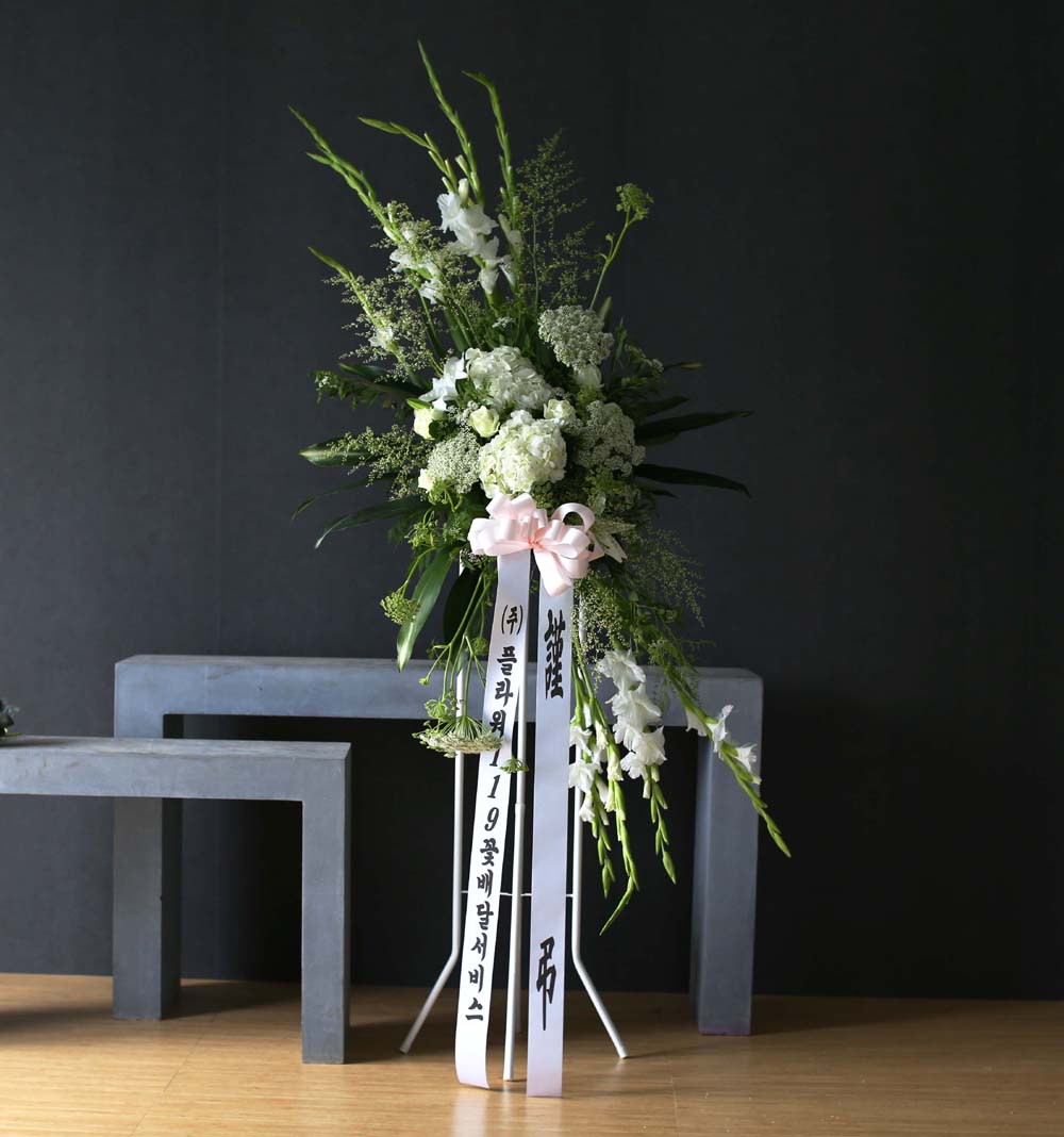 Ư  ȭȯ - ö119  ȭȯ_NO 5