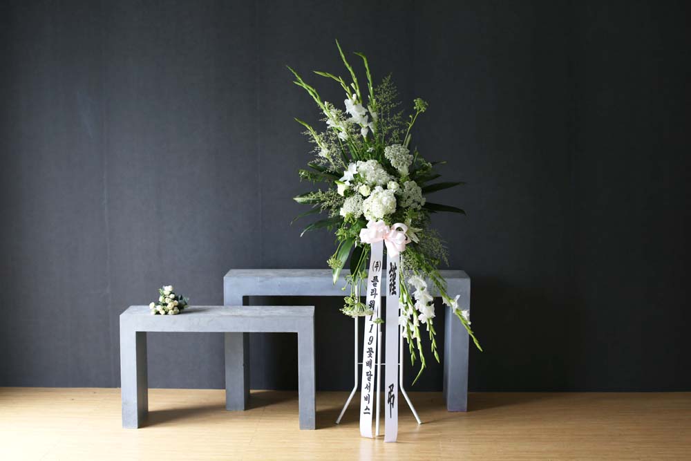 Ư  ȭȯ - ö119  ȭȯ_NO 5