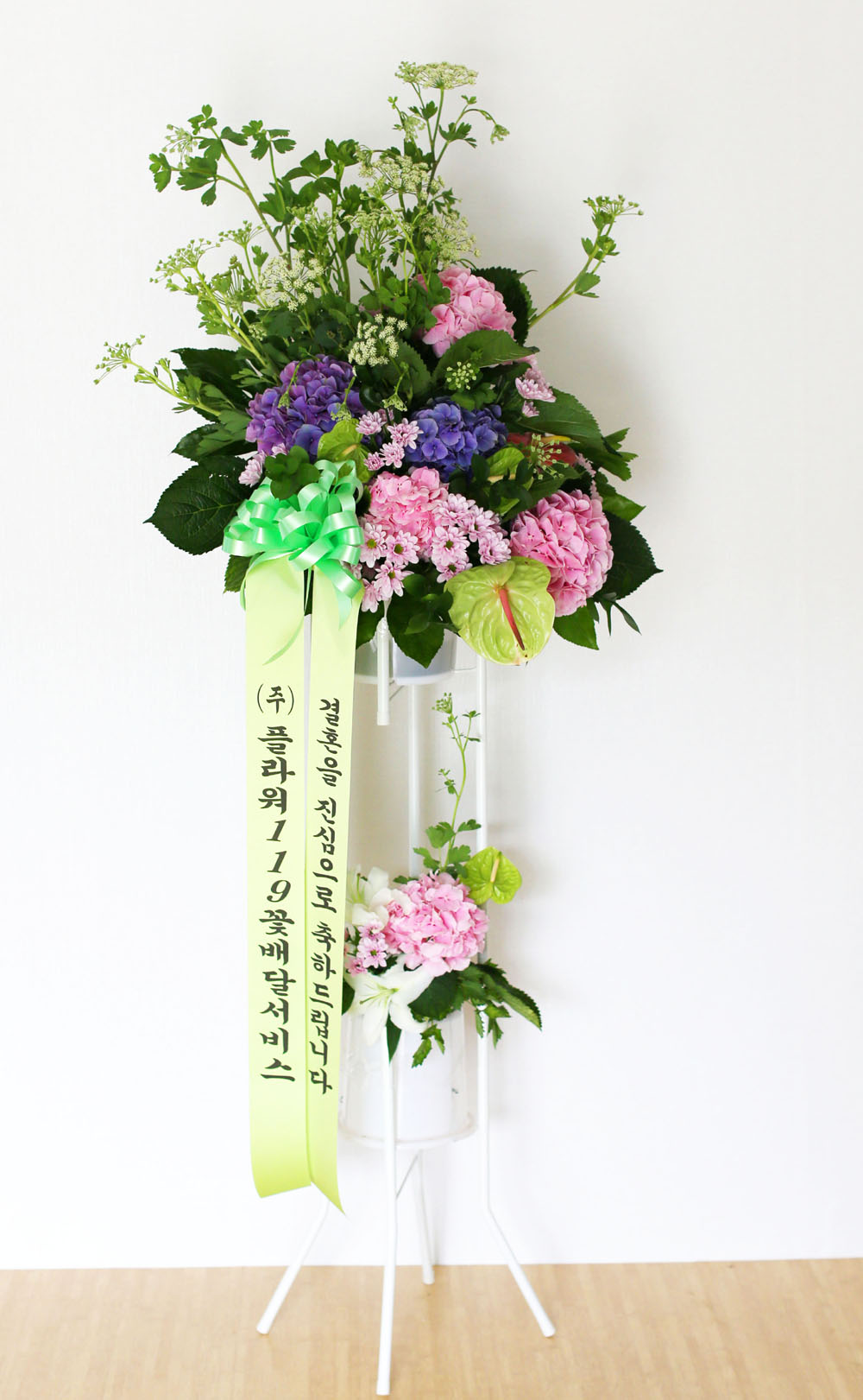 Ưº°ÇÑ ÃàÇÏ¿ë Èȯ - Çöó¿ö119 µðÀÚÀÎ ÃàÇÏÈȯ_NO 5 ²ÉÁý ²É¹è´Þ