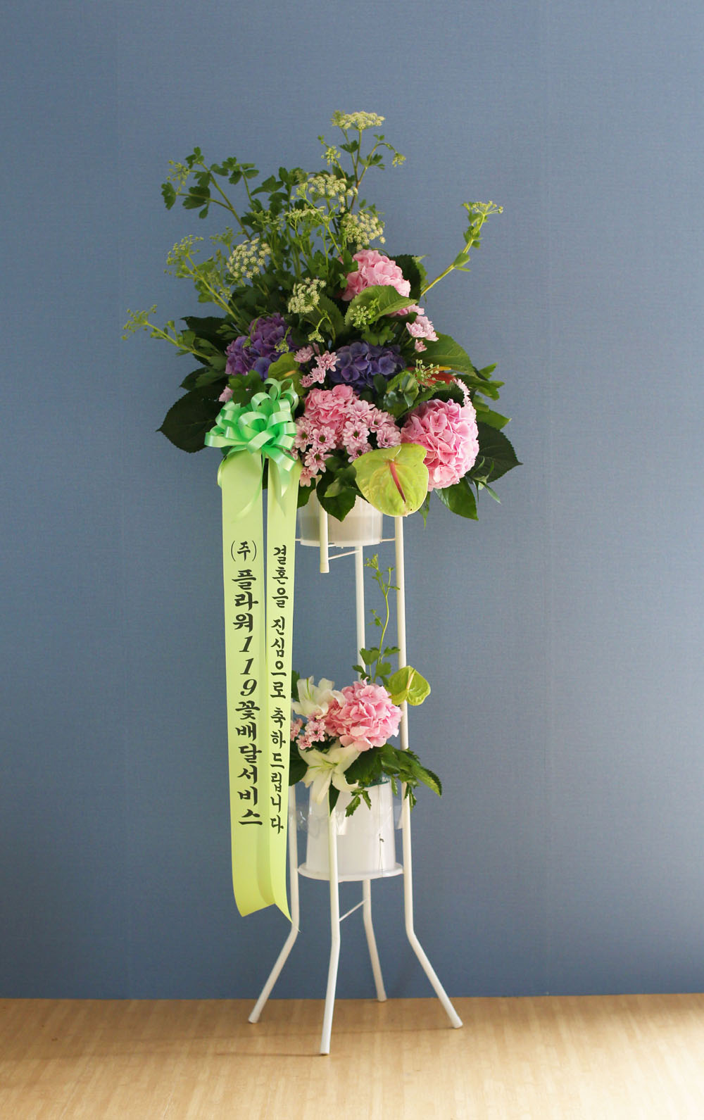 Ưº°ÇÑ ÃàÇÏ¿ë Èȯ - Çöó¿ö119 µðÀÚÀÎ ÃàÇÏÈȯ_NO 5 ²ÉÁý ²É¹è´Þ