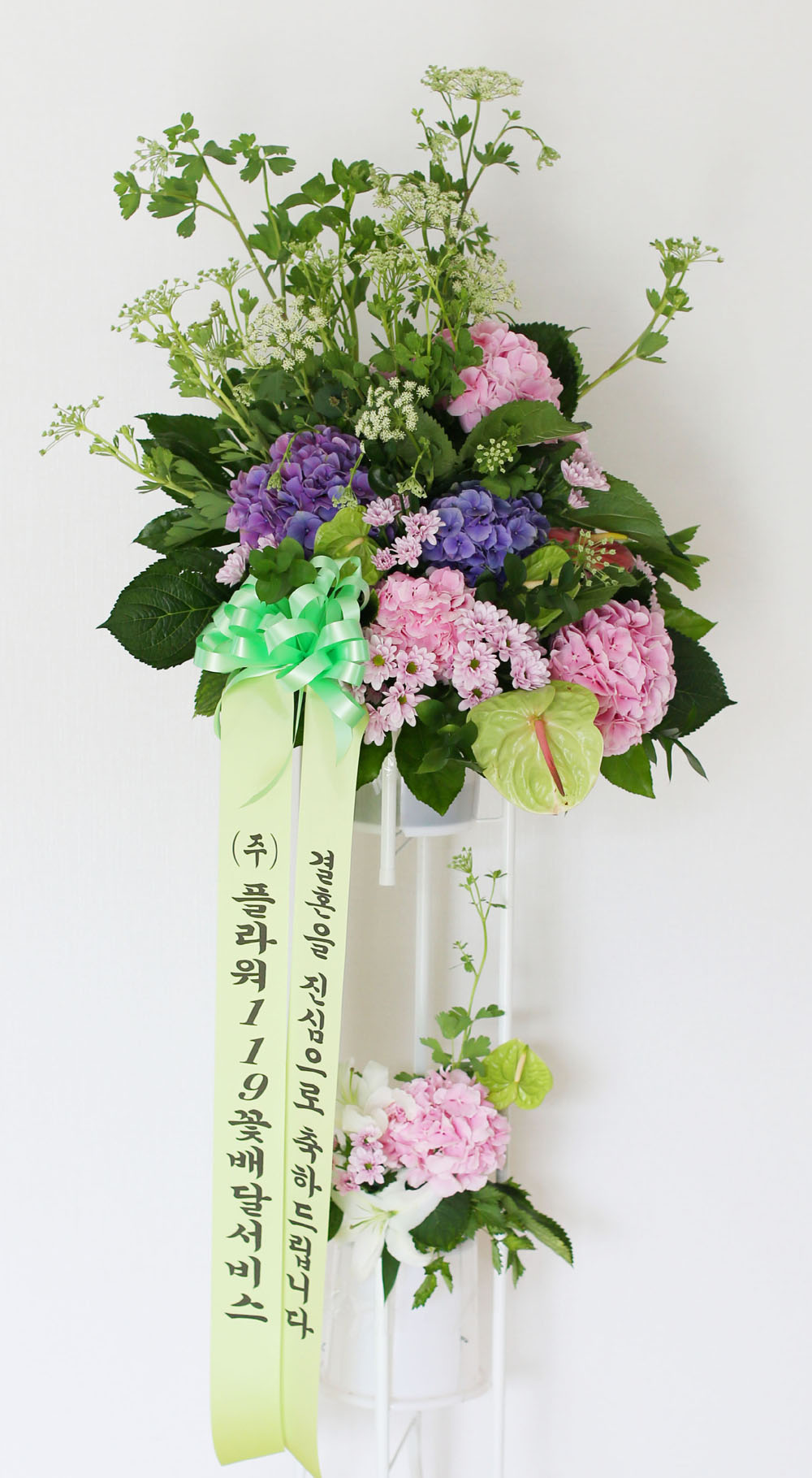 Ưº°ÇÑ ÃàÇÏ¿ë Èȯ - Çöó¿ö119 µðÀÚÀÎ ÃàÇÏÈȯ_NO 5 ²ÉÁý ²É¹è´Þ