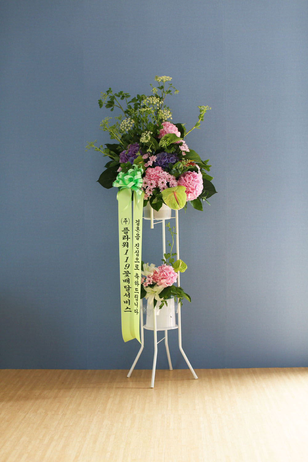 Ưº°ÇÑ ÃàÇÏ¿ë Èȯ - Çöó¿ö119 µðÀÚÀÎ ÃàÇÏÈȯ_NO 5 ²ÉÁý ²É¹è´Þ