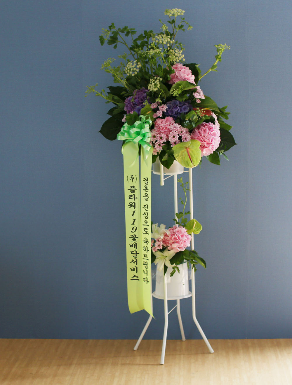 Ưº°ÇÑ ÃàÇÏ¿ë Èȯ - Çöó¿ö119 µðÀÚÀÎ ÃàÇÏÈȯ_NO 5 ²ÉÁý ²É¹è´Þ