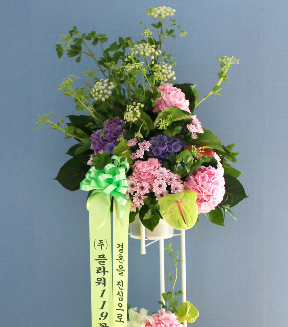 Ưº°ÇÑ ÃàÇÏ¿ë Èȯ - Çöó¿ö119 µðÀÚÀÎ ÃàÇÏÈȯ_NO 5 ²ÉÁý ²É¹è´Þ