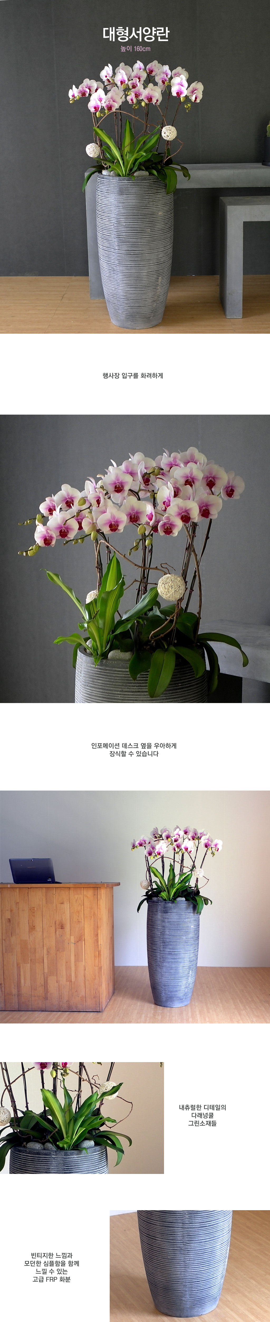 ´ëÇü¼¾ç¶õ smile moon ²ÉÁý ²É¹è´Þ