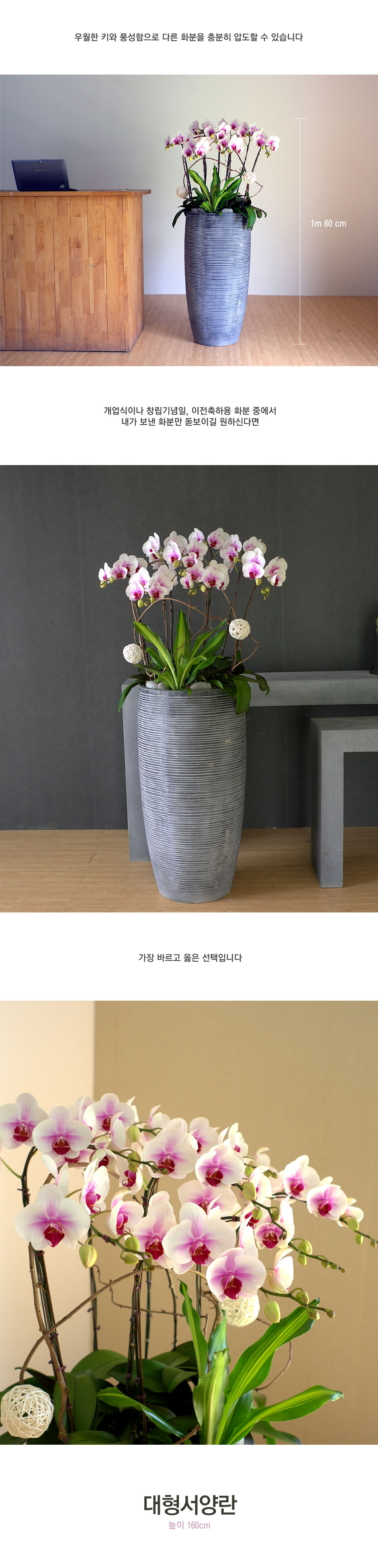 ´ëÇü¼¾ç¶õ smile moon ²ÉÁý ²É¹è´Þ