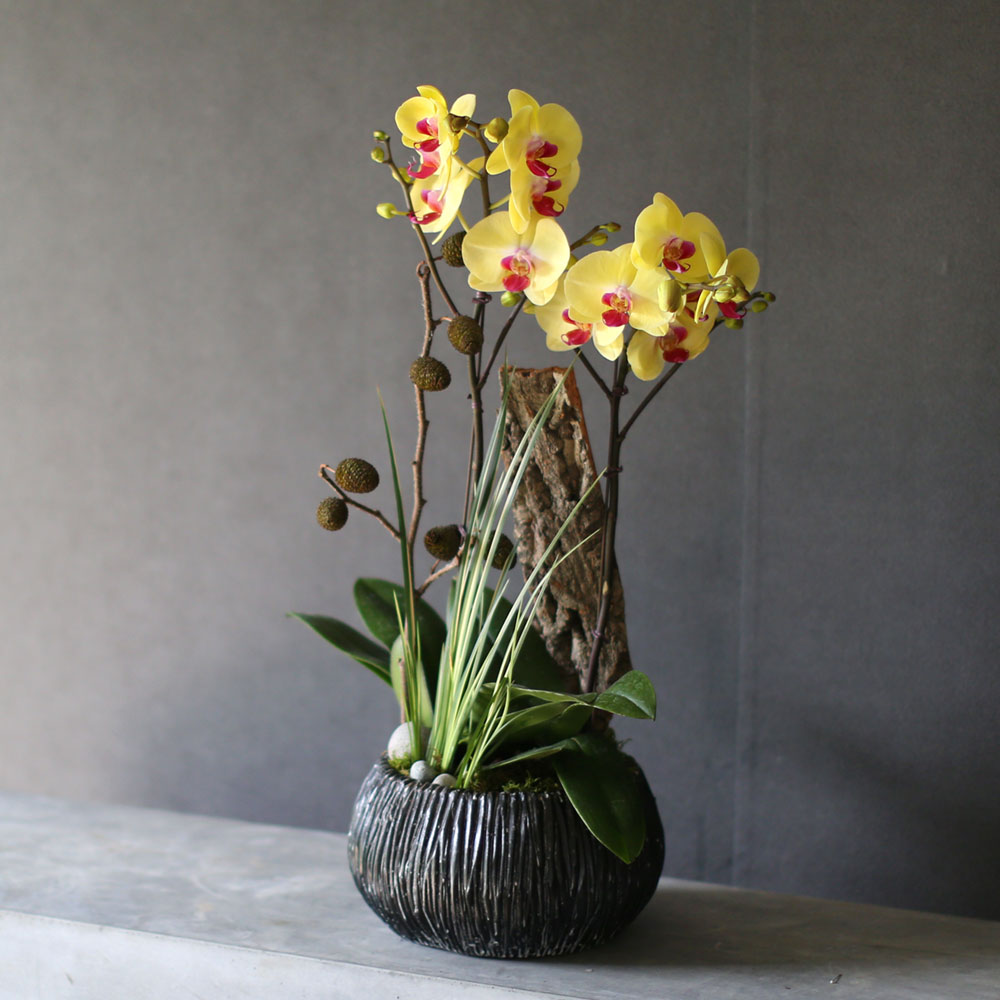 [Decorating with Orchids ] 彺Ÿ (ȭǰ)  ɹ