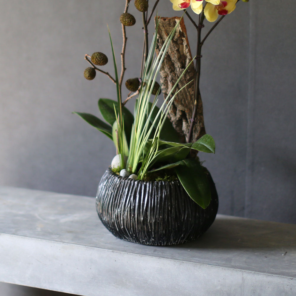 [Decorating with Orchids ] 彺Ÿ (ȭǰ)  ɹ