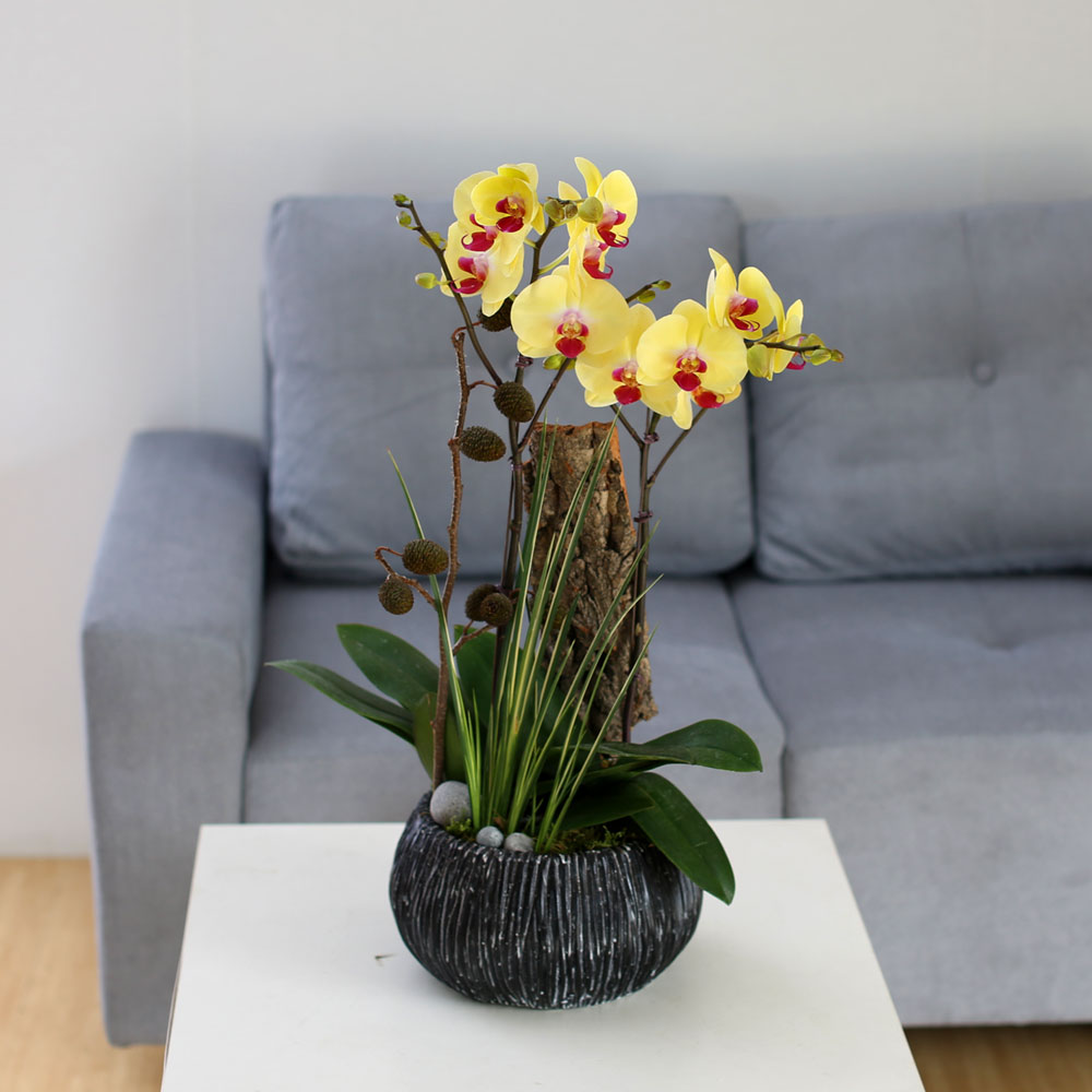 [Decorating with Orchids ] 彺Ÿ (ȭǰ)  ɹ