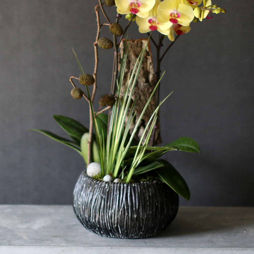 [Decorating with Orchids ] 彺Ÿ (ȭǰ)  ɹ