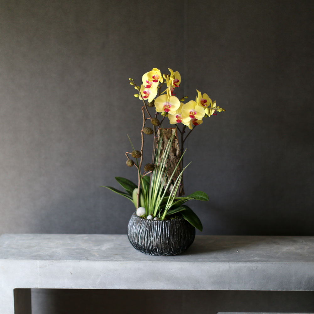 [Decorating with Orchids ] 彺Ÿ (ȭǰ)  ɹ