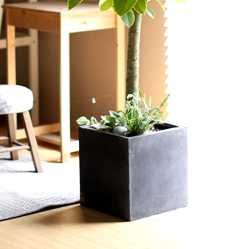 #ȺÐÀ» ºÎÅ¹ÇØ - ±×¸²°°Àº ÀÙÀ» °¡Áø ¹ð°¥°í¹«³ª¹«