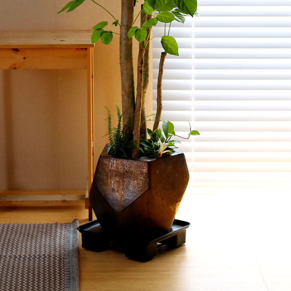 #ȭ Ź - 뿱ȫ  ٸ ()  ɹ