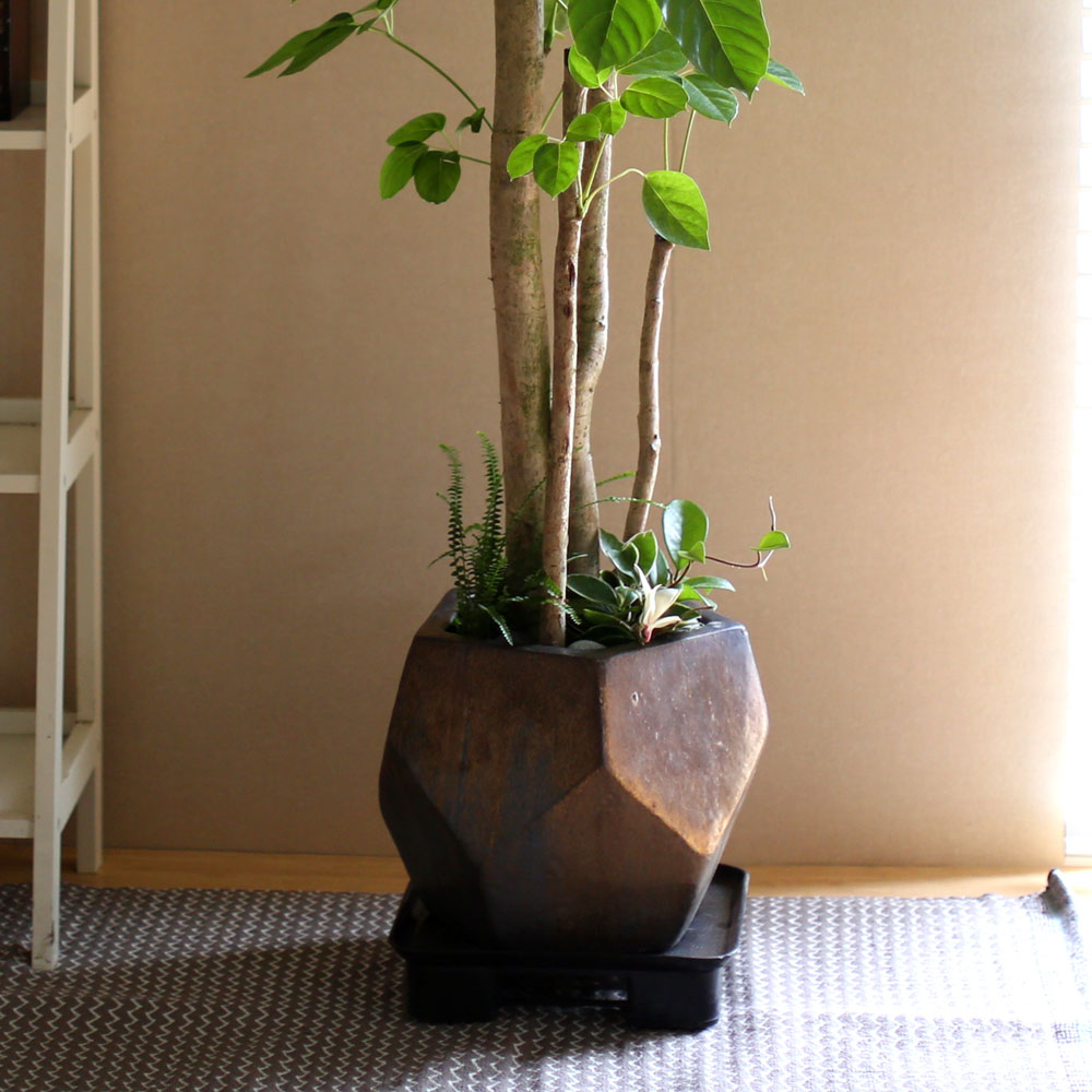 #ȭ Ź - 뿱ȫ  ٸ ()  ɹ