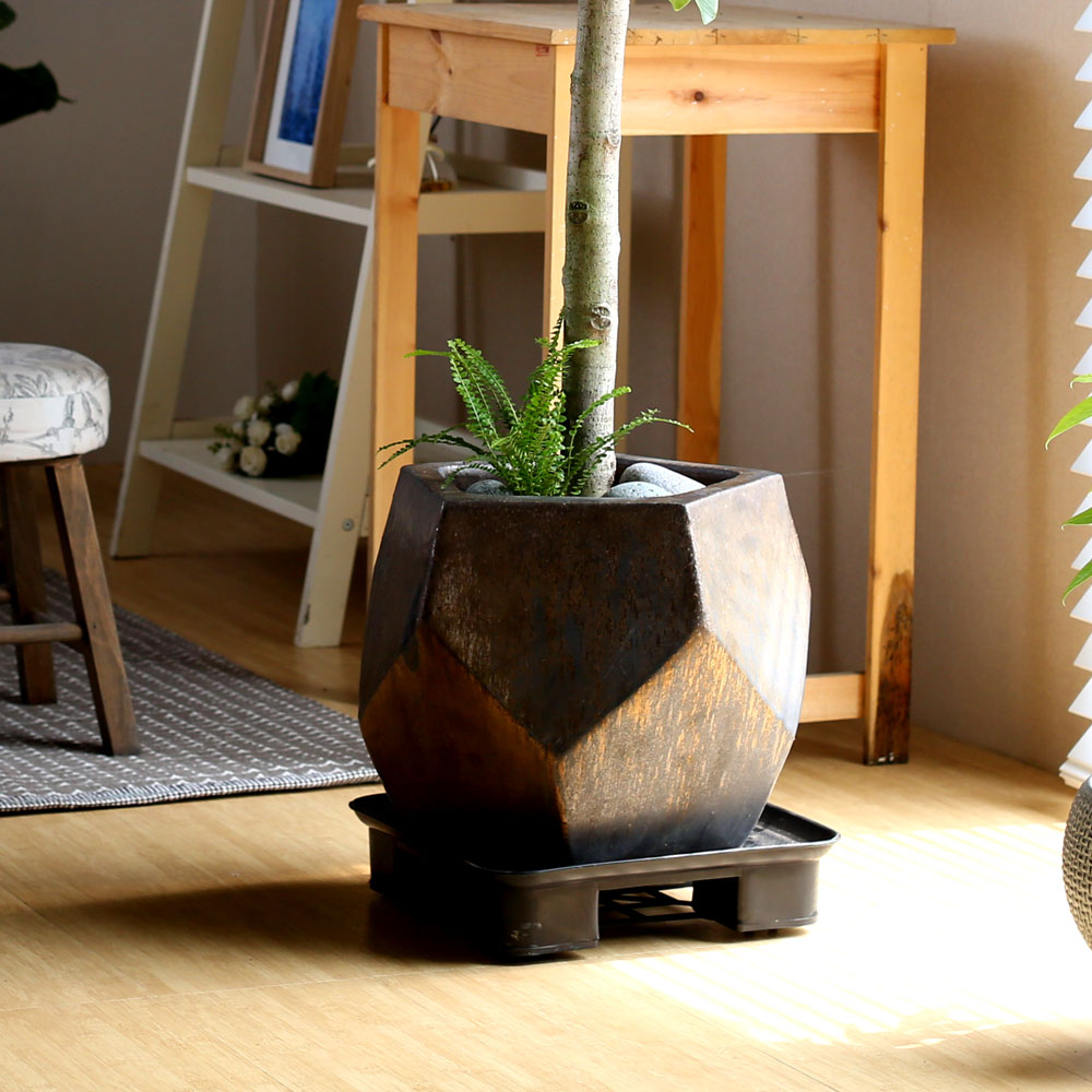 #ȭ Ź -  ȭа Ϳ 𰥰 ***ȭ⺯***  ɹ