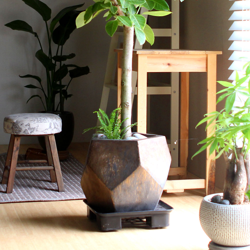 #ȭ Ź -  ȭа Ϳ 𰥰 ***ȭ⺯***  ɹ