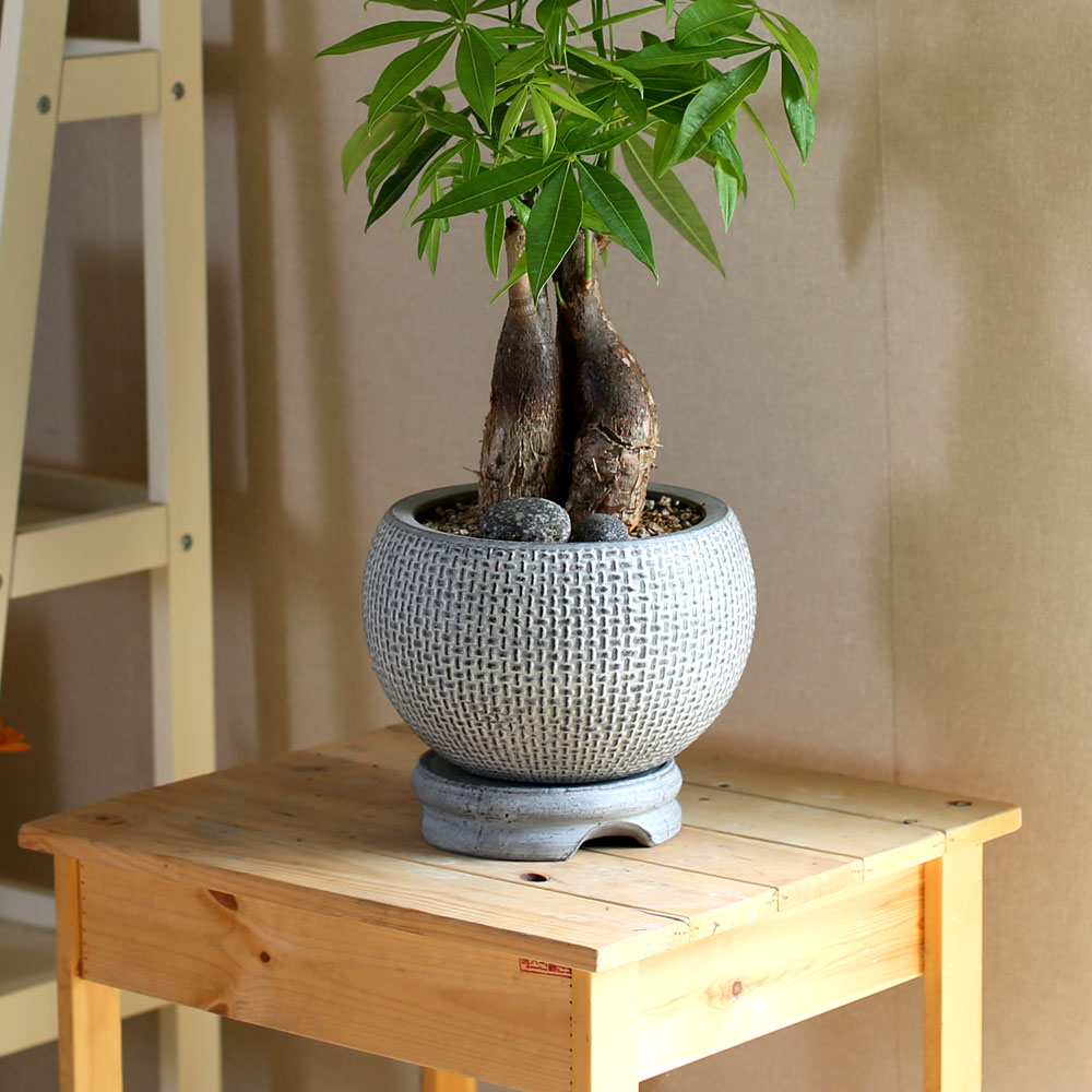 #ȭ���� ��Ź��  - Ź�� �� ��︮�� ��Ű�� ���� �ɹ��