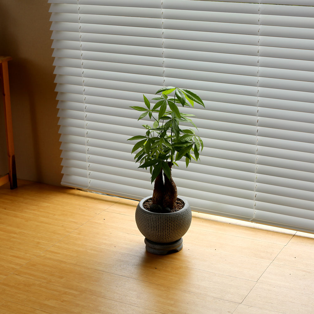 #ȭ���� ��Ź��  - Ź�� �� ��︮�� ��Ű�� ���� �ɹ��