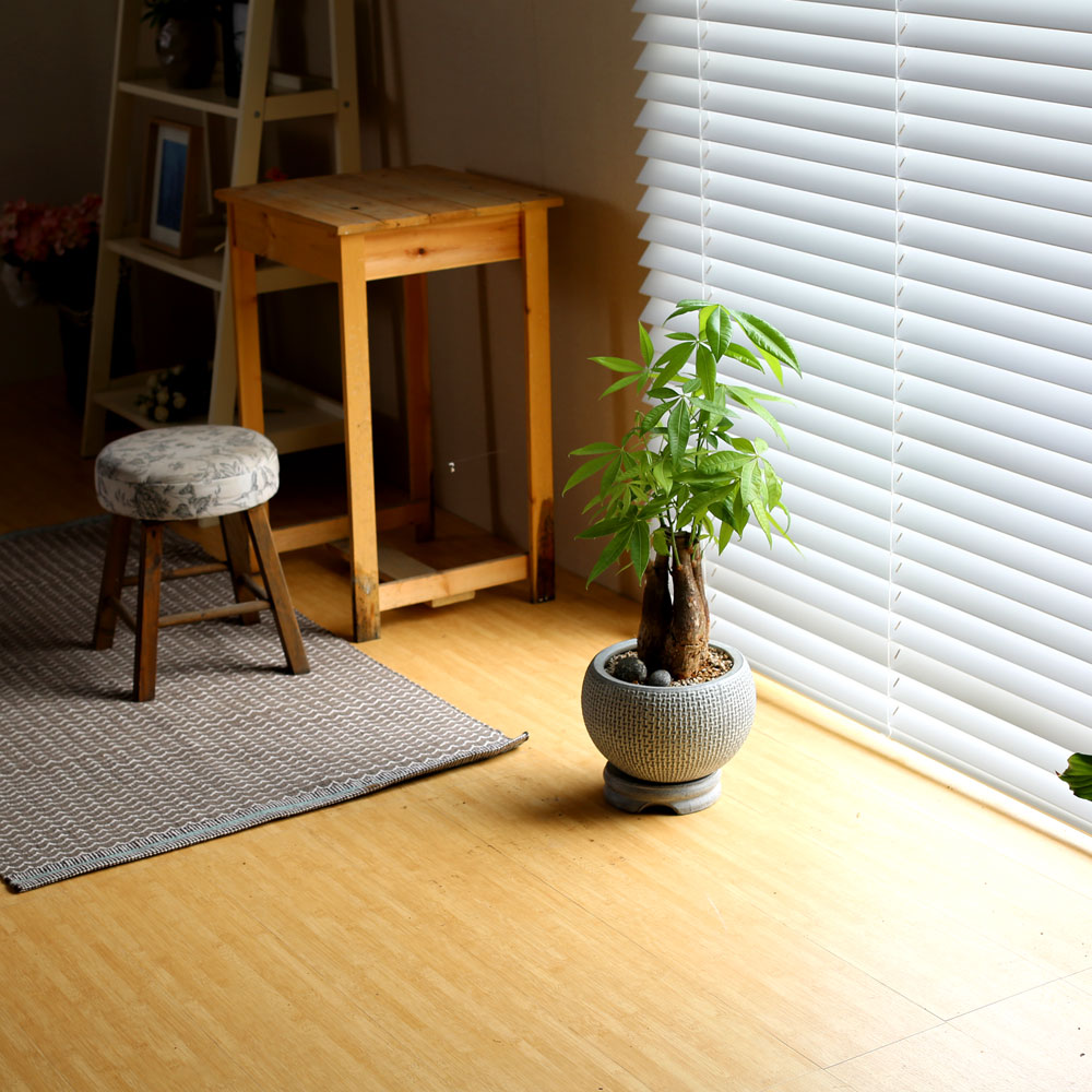 #ȭ���� ��Ź��  - Ź�� �� ��︮�� ��Ű�� ���� �ɹ��